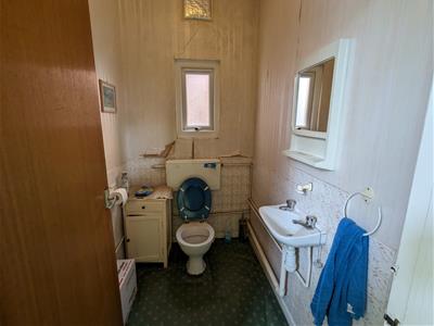Picture 7